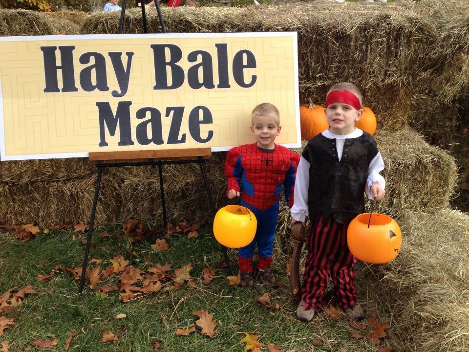 Halloween 2013 - 2
